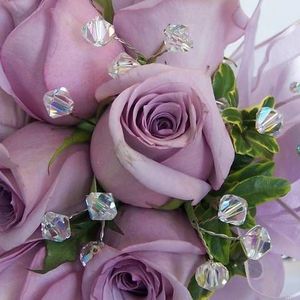 Meet your Posher, Phyllis